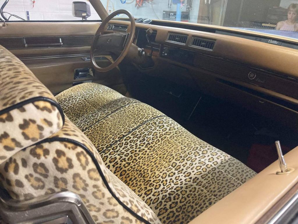cheetah print car interior